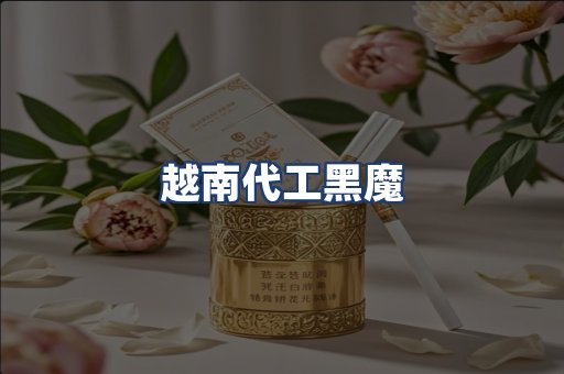 越南代工黑魔